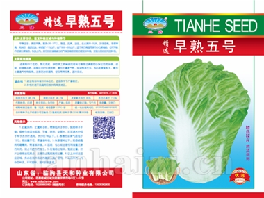 精选早熟五号
