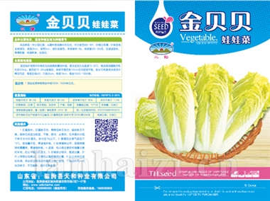 金贝贝娃娃菜