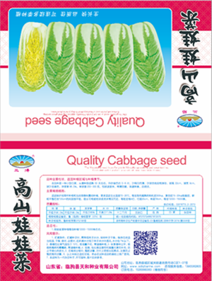 高山娃娃菜