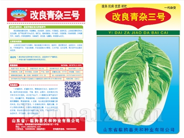 改良青杂三号