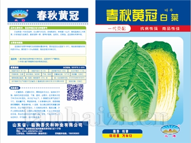 徐州小杂55版