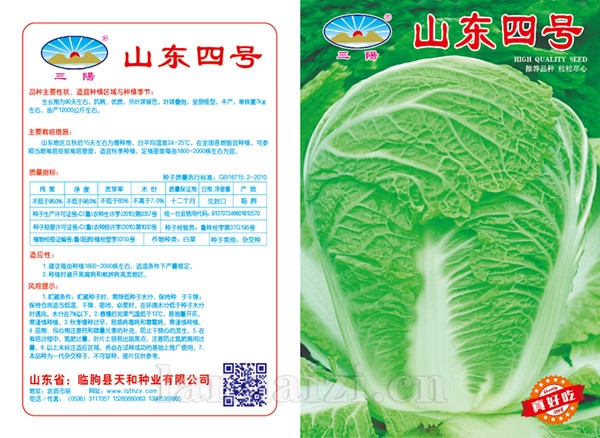 山东四号版