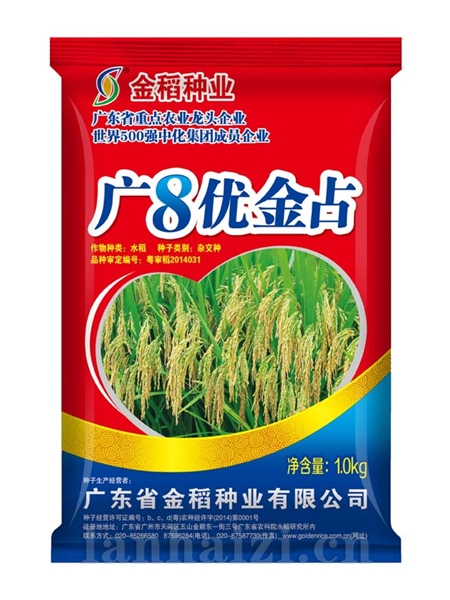 广8优金占
