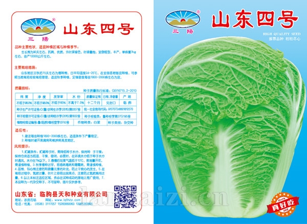 山东四号版(蓝)