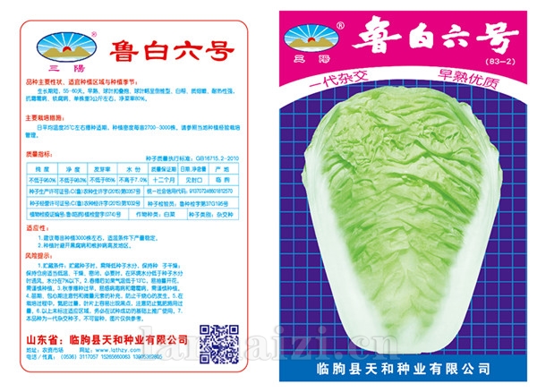 鲁白六号版