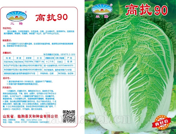 高抗90版