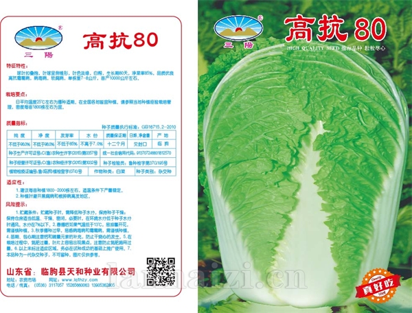 高抗80版