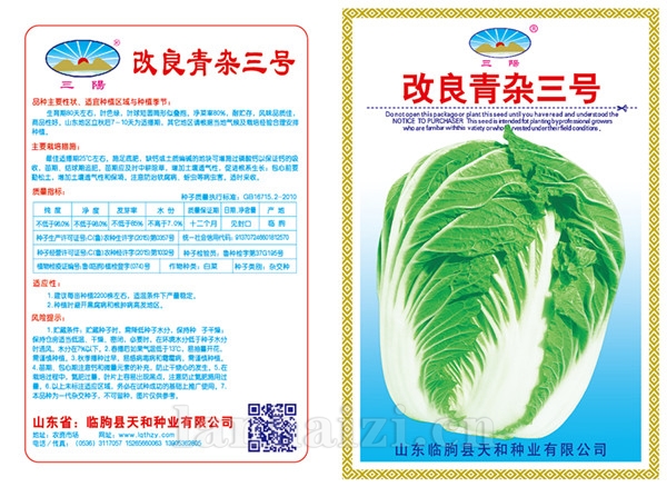 改良青杂三号
