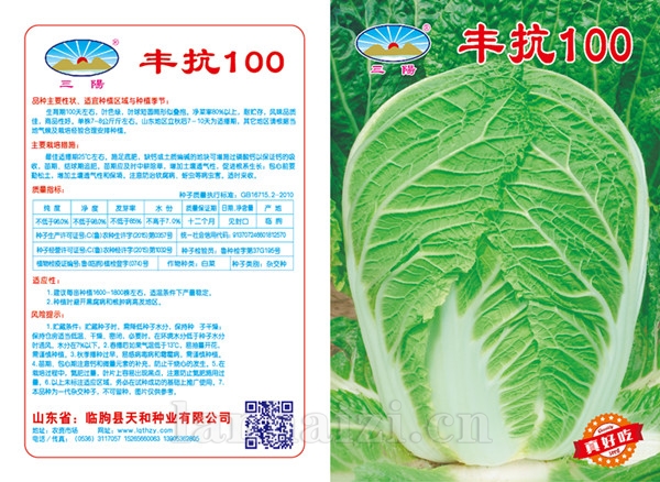 丰抗100版