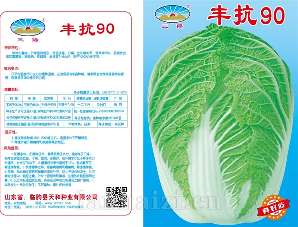 丰抗90版