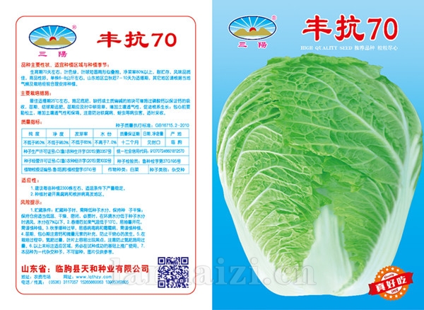 丰抗70版