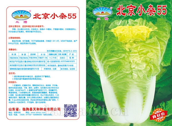 北京小杂55版