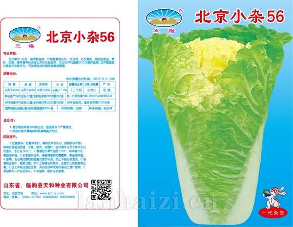 北京小杂56蓝底