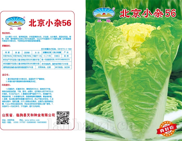 (北京小杂56)