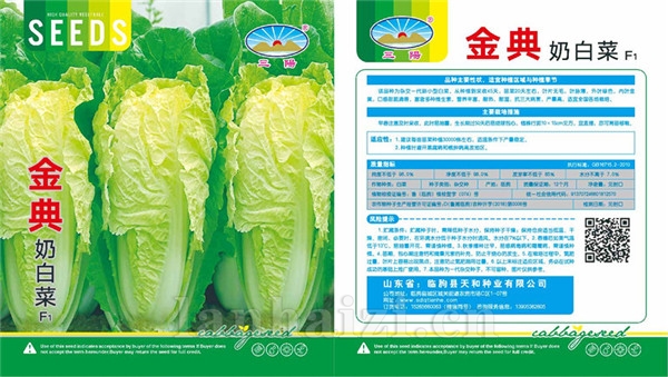 金典奶白菜