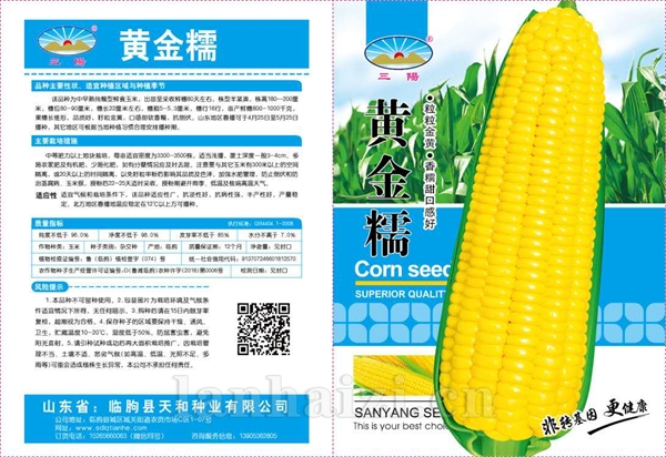 黄金糯