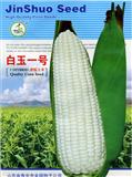 玉米种子--白玉一号F1