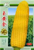 玉米种子--玉黄金F1