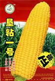 玉米种子--垦粘一号F1