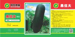 黑优大冬瓜