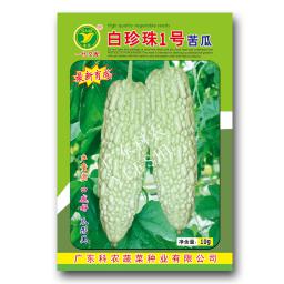 白珍珠1号苦瓜