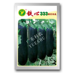 铁柱二号冬瓜