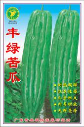 丰绿苦瓜