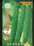 精选碧绿苦瓜