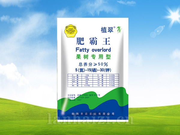肥霸王