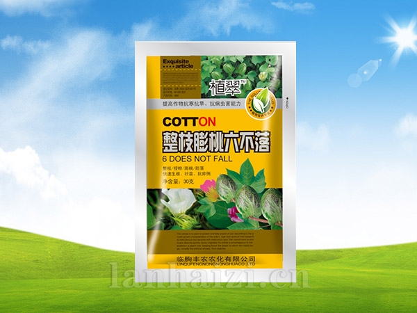 整枝膨桃六不落