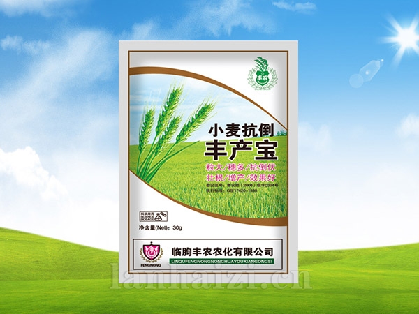小麦抗倒丰产宝