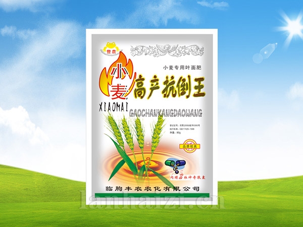 高产抗倒王