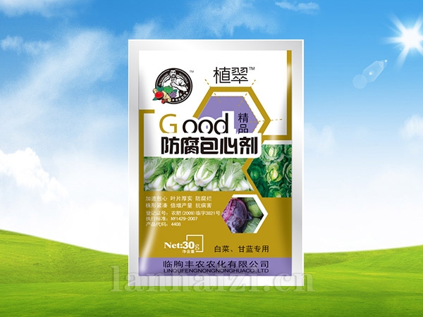 防腐包心剂