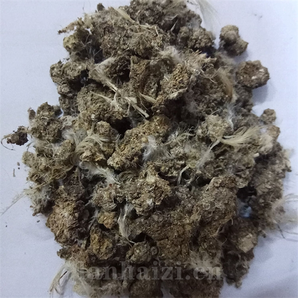 干鸡粪