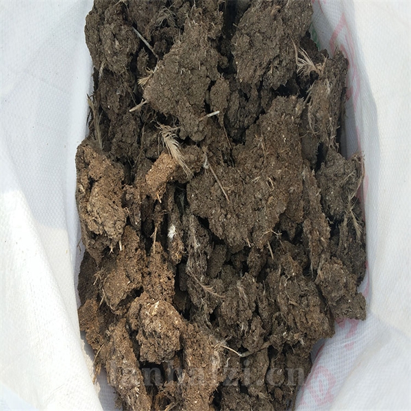干鸡粪