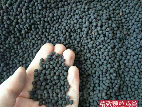 颗粒鸡粪 厂家供应菌肥果树通用型肥料颗粒均匀