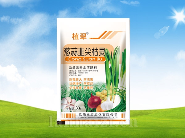 葱蒜韭尖枯灵