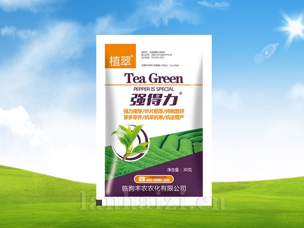 强得力