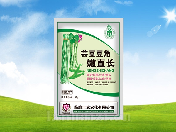 芸豆豆角嫩直长