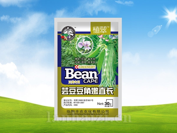 生根壮苗剂