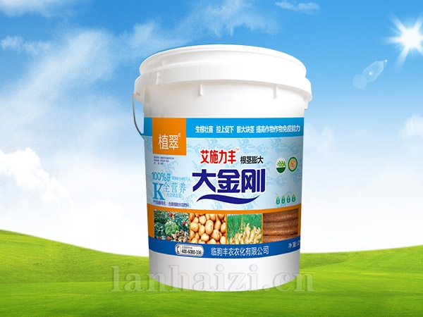 大金刚