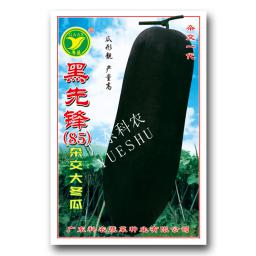 黑先锋杂交冬瓜