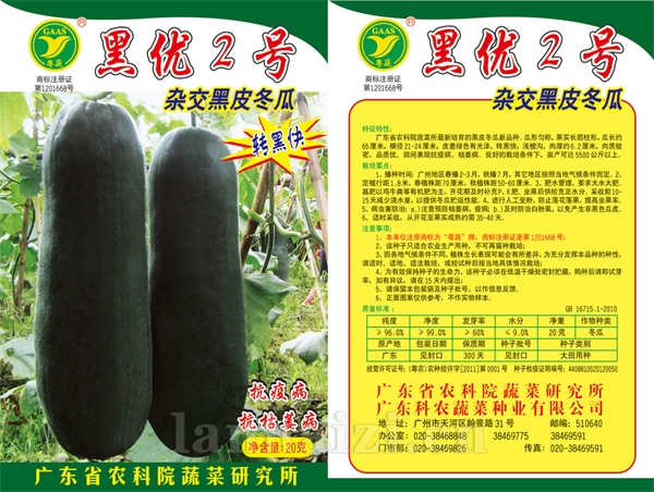 黑优2号冬瓜