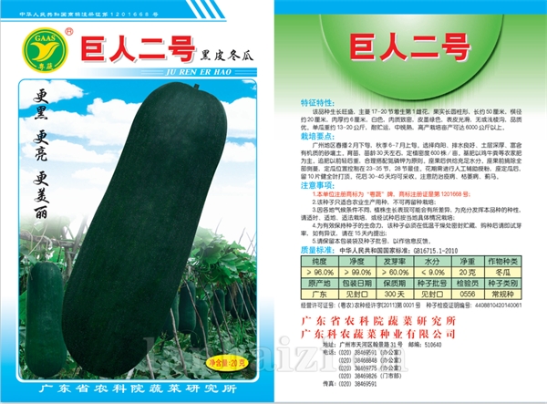 巨人二号黑皮冬瓜