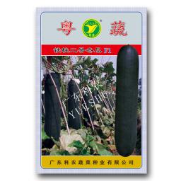 铁心333杂交冬瓜