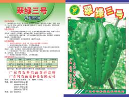 翠绿三号大顶苦瓜