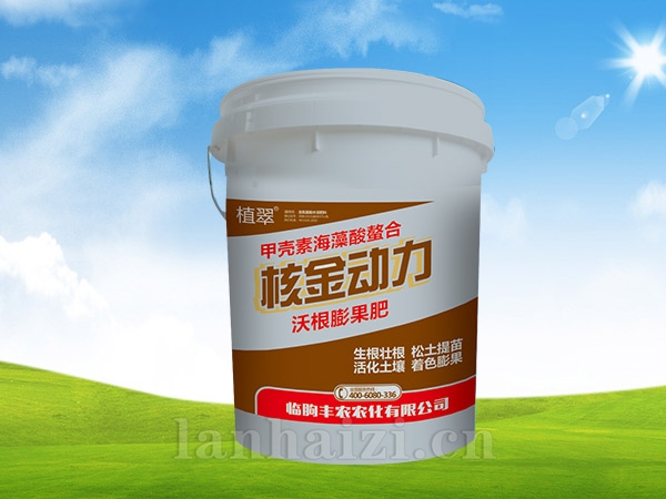 核金动力