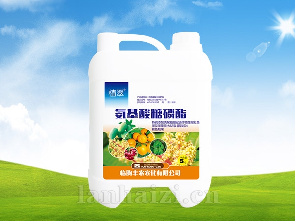 氨基酸糖磷酯