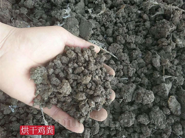 全国发货干鸡粪 瓜果蔬菜种植有机肥