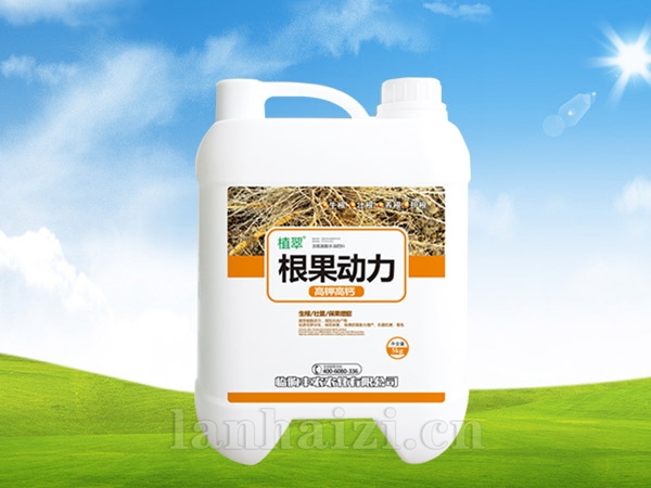 根果动力